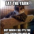 Oh dear, now I have to go yarn shopping...