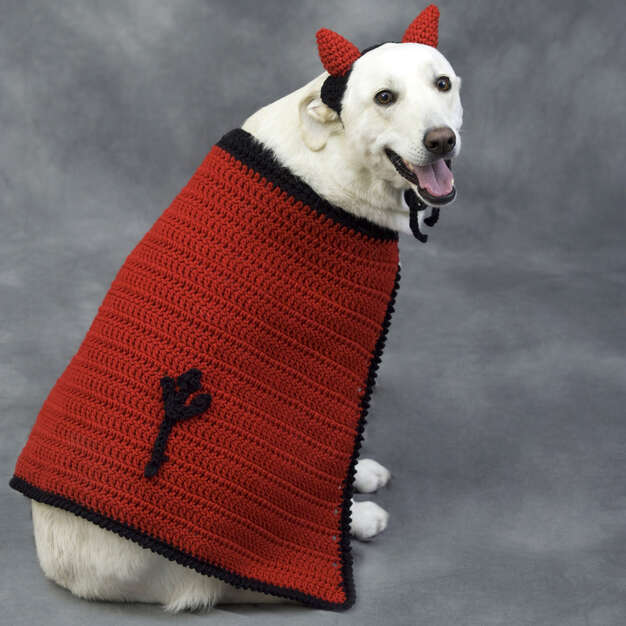 20+ Free Crochet and Knit Patterns for Large Dogs moogly