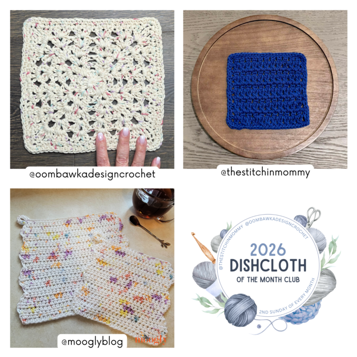 026 Dishcloth of the Month Club CAL January Graphic