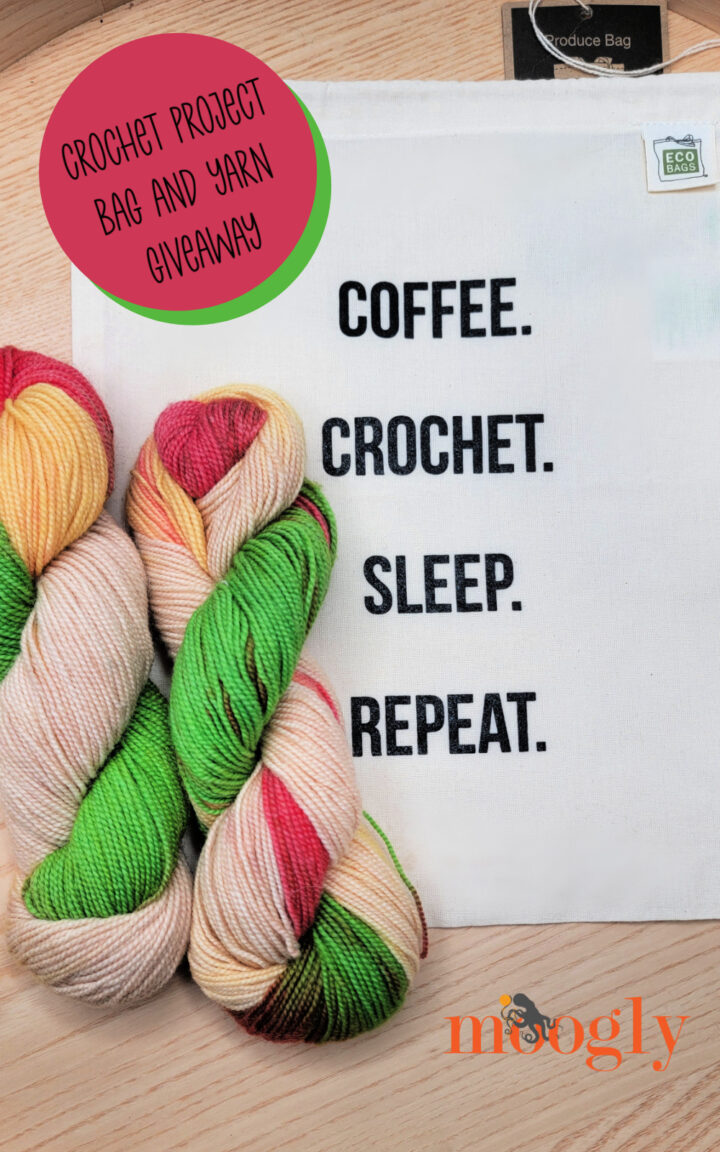 Crochet Project Bag and Yarn Giveaway