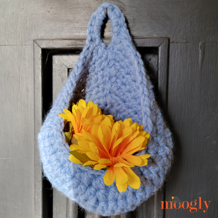 Everyday Drop Hanging Basket