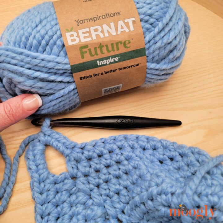 Sneak Peek Bernat Future Inspire - WIP