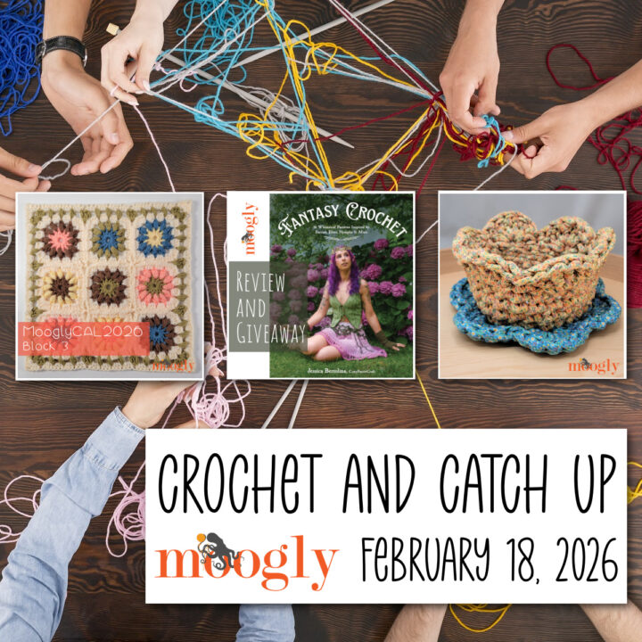 Crochet and Catch Up with Moogly - February 18, 2026