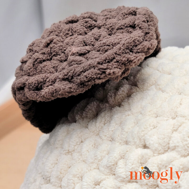 Folded Ear of Puppy Squish