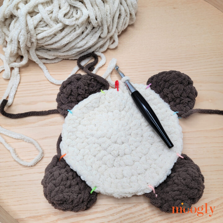 Feet attached to belly